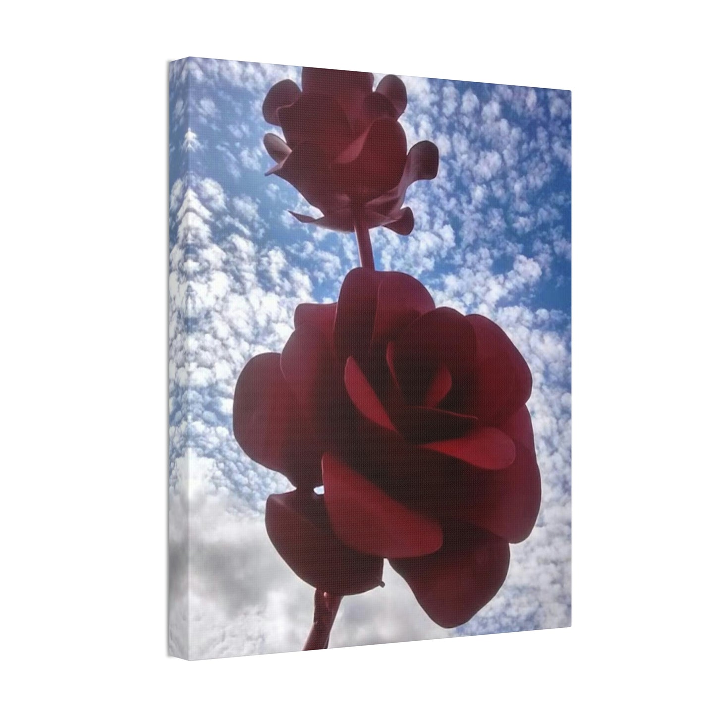 Smell the Roses Canvas